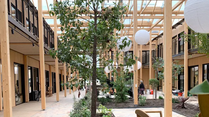 Beplantning i atriumgården ved Ibihaven Slagelse